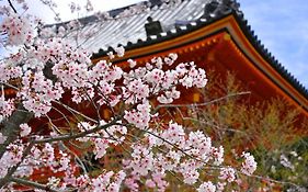 京舞イン